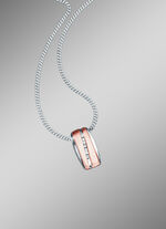 Anh&auml;nger mit synth. Zirkonia und Panzerkette 