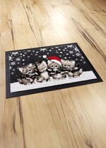 Fußmatte mit rutschhemmend beschichteter Rückseite 