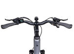 E-Trekking-Bike X-Road 5.2 von SAXONETTE 