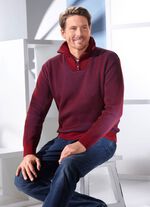 Troyer mit kurzem Rei&szlig;verschluss in 3 Farben 