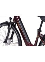 E-Bike Comfort Plus 5.0 von Saxonette 