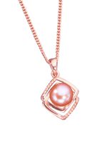 Anh&auml;nger mit Panzerkette 