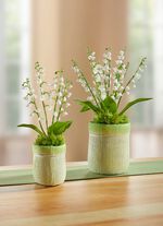 Maigl&ouml;ckchen-Gesteck, 2er-Set 