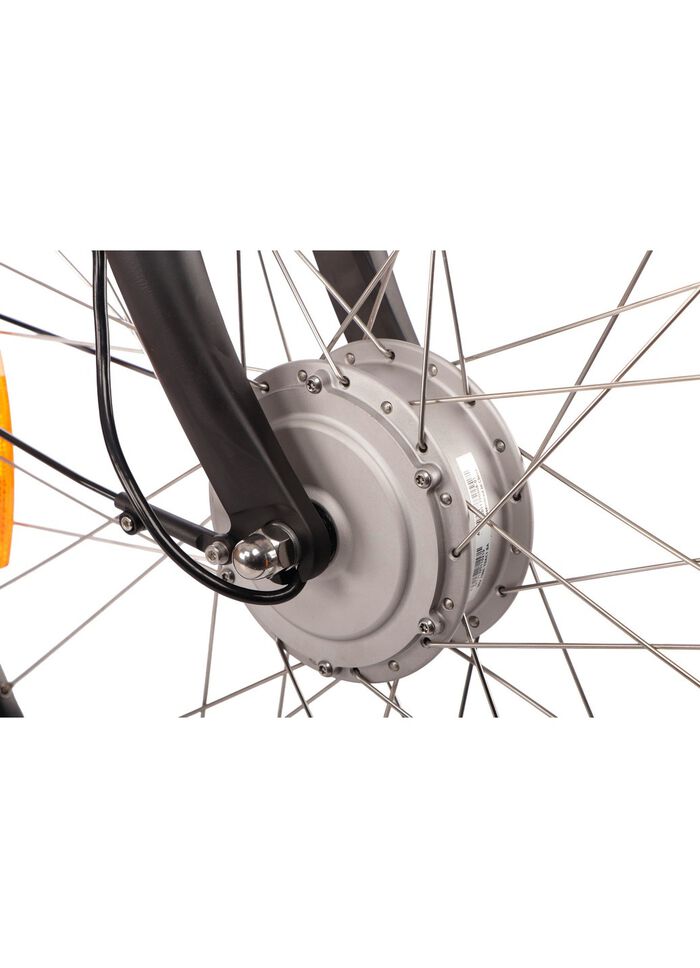 E-Bike Comfort Plus 5.0 von Saxonette 