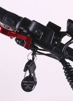 Maximus E-Cruiser - Die umweltfreundliche Alternative zum Motorrad 