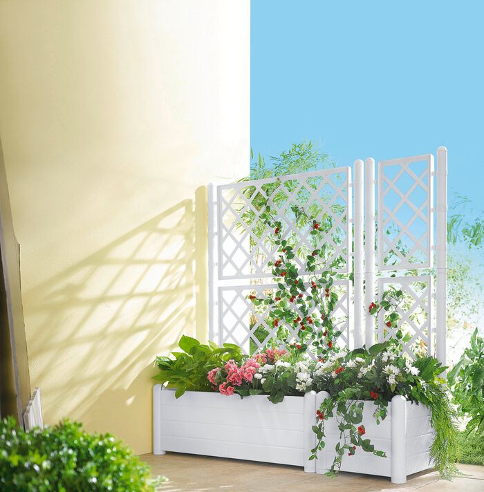 Pflanzkasten mit Spalierwand 