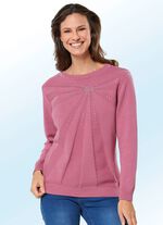 Pullover aus reiner Baumwolle und mit Pl&auml;ttchenzier 