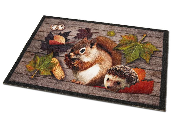 Fußmatte mit rutschhemmender Rückseite 