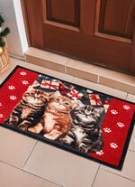 Fußmatte mit beschichteter Rückseite 