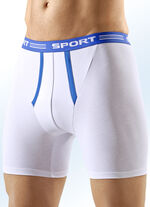 Dreierpack Pants, uni mit Kontrastpaspeln