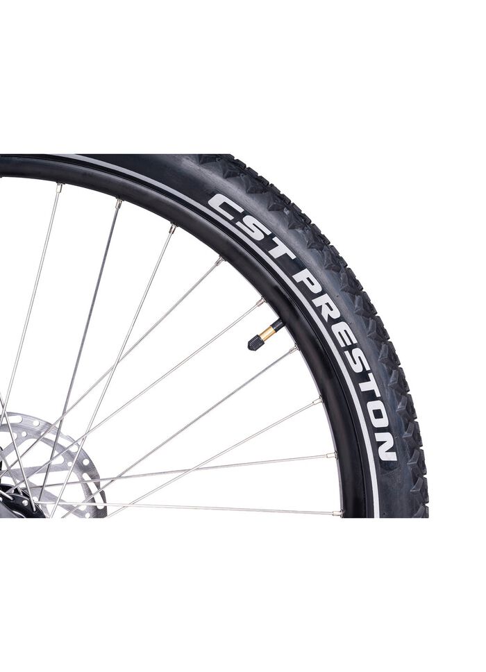 E-Bike Deluxe SUV Easy 