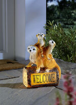 Solar-Erdmännchen-Familie Welcome 