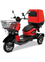 Rolektro - Der E-Roller 