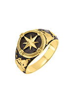Herrenring aus Gold