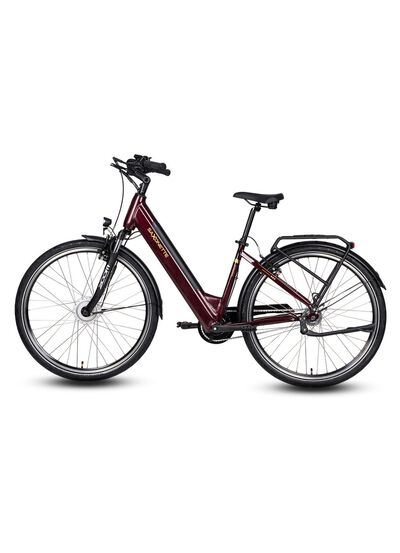 E-Bike Comfort Plus 5.0 von Saxonette 