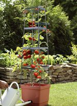 MAXITOM Tomaten-Rankhilfe Komplett-Set 