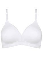 Triumph-Micro Fun-BH 