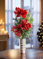 Amaryllis-Arrangement in Vase 