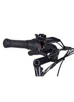 E-Bike Comfort Plus 5.0 von Saxonette 