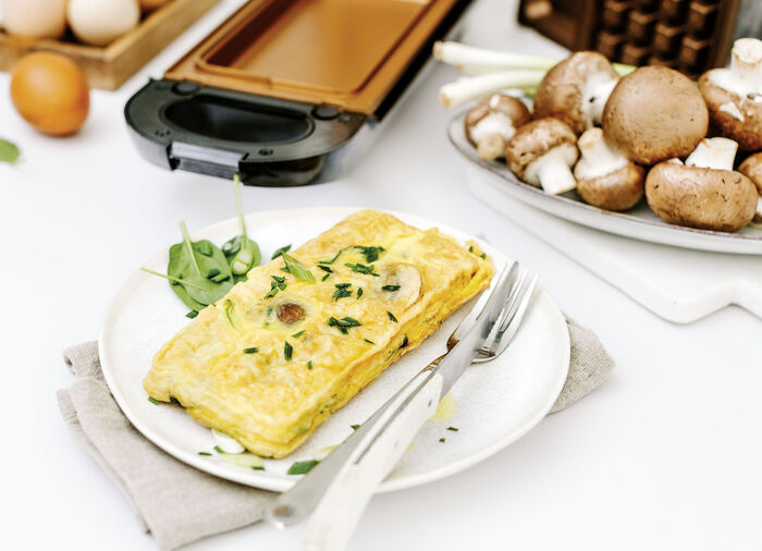 Wendegrill mit automatischer Temperaturregelung 