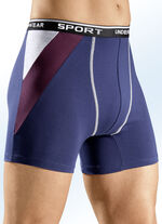 Viererpack Pants, uni mit farbigen Eins&auml;tzen 