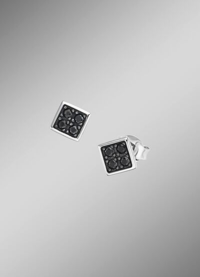 Stilvolle Ohrstecker in edlem Silber 