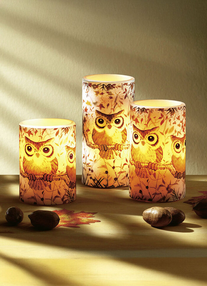 LED-Echtwachskerzen mit Eulenmotiv, 3er-Set 