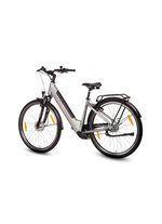 E-Bike Comfort Plus 5.0 von Saxonette 