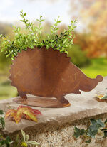 Pflanzigel im Rost-Look 