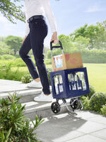 Einkaufstrolley mit Rucksack