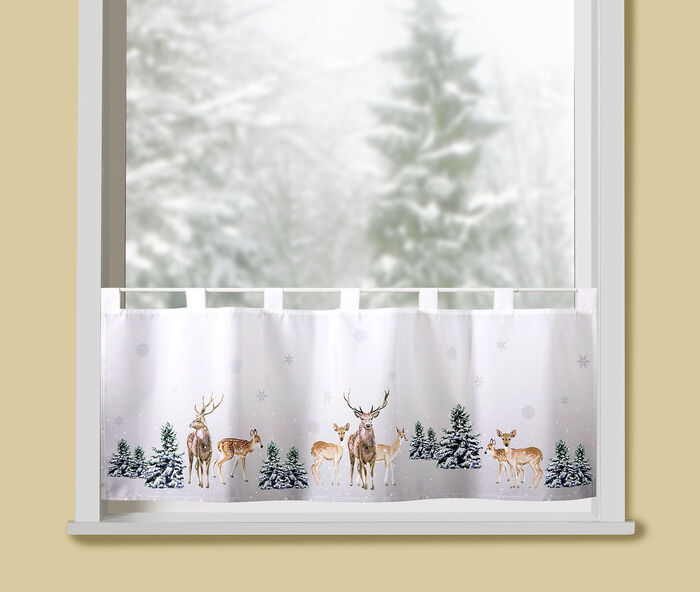 Kurzstore Rehe im Wald 