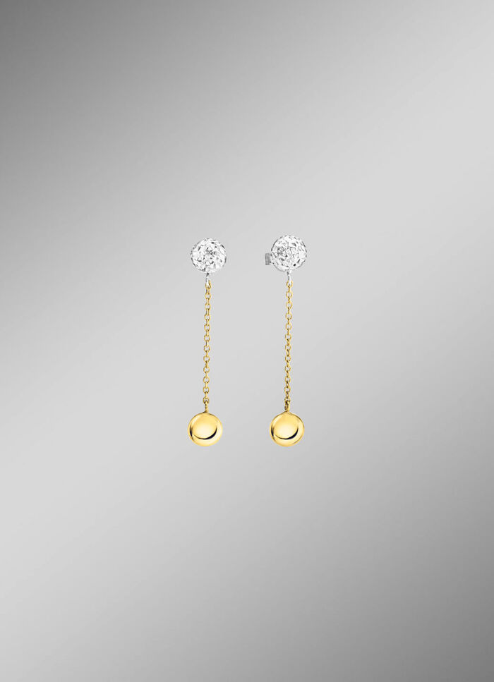 Wunderschöne Ohrstecker in Bicolor 