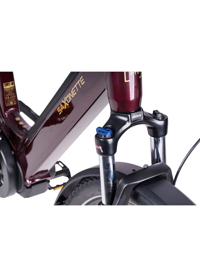 E-Bike Deluxe SUV Easy 