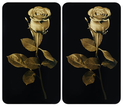 Herdabdeckplatten mit Goldene Rosen-Motiv, 2er-Set 