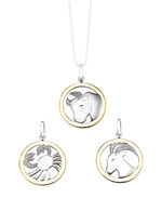 Sternzeichen-Anhänger  