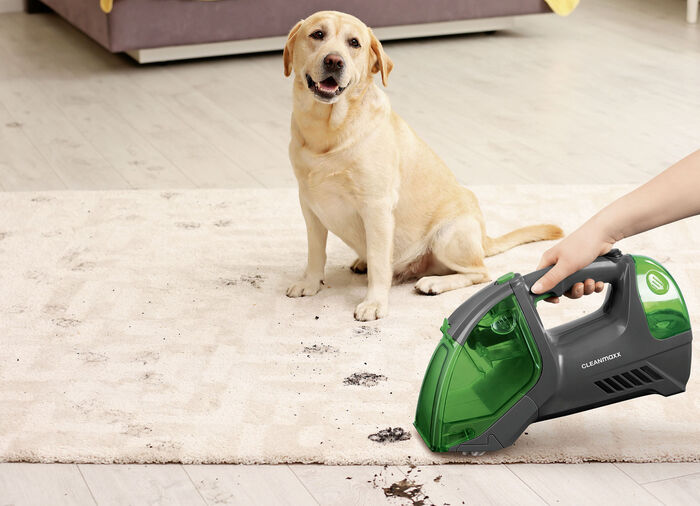 Akku-Polster- und Teppichreiniger zum Reinigen und Auffrischen in einem Arbeitsgang 