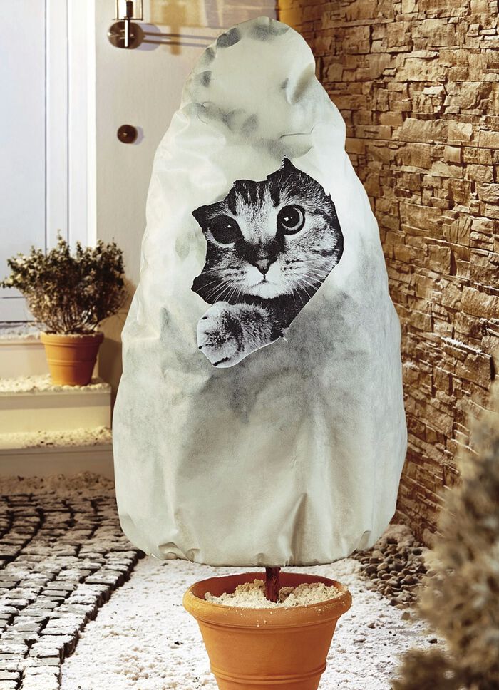 Winterschutz Vlieshaube mit Katzen-Motiv 