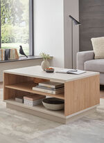 Toller Couchtisch mit durchgehender Ablagefläche 