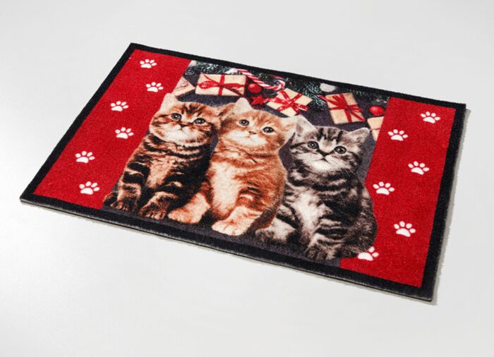 Fu&szlig;matte mit beschichteter R&uuml;ckseite 