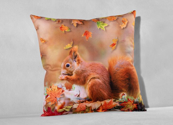 Kissenbezug in Veloursoptik mit Eichh&ouml;rnchen-Motiv 