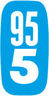 BADERde_AT1Logo_Schiesser_95_5