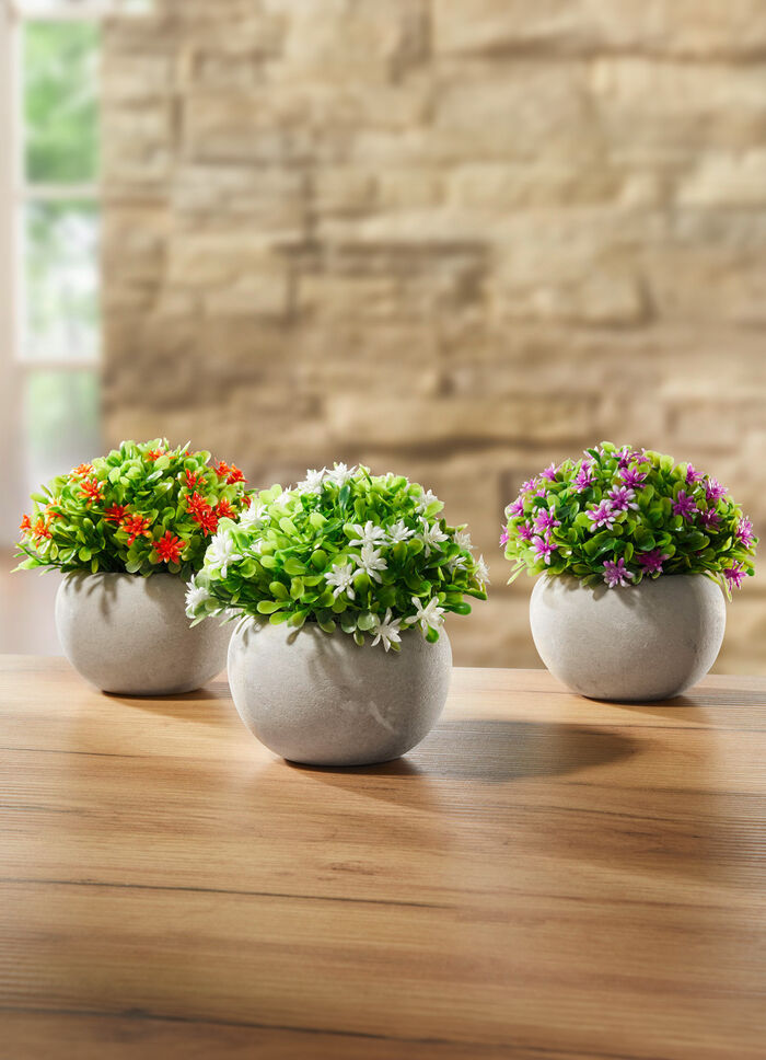 Mini-Blüten, 3er-Set 