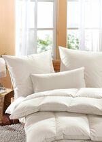 Exklusiver Schlafkomfort: Moschus Royal Kissen von H&auml;ussling 