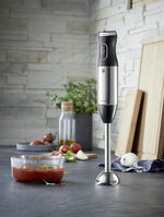 „WMF” Stabmixer- Set 