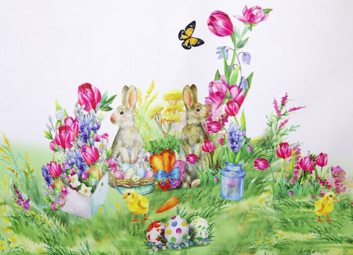 Kurzstore H&auml;schen auf Schmetterlingswiese 