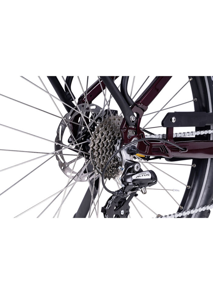 E-Bike Deluxe SUV Easy BURGUND-GLANZ