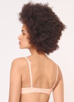 Triumph-Micro Fun-BH 