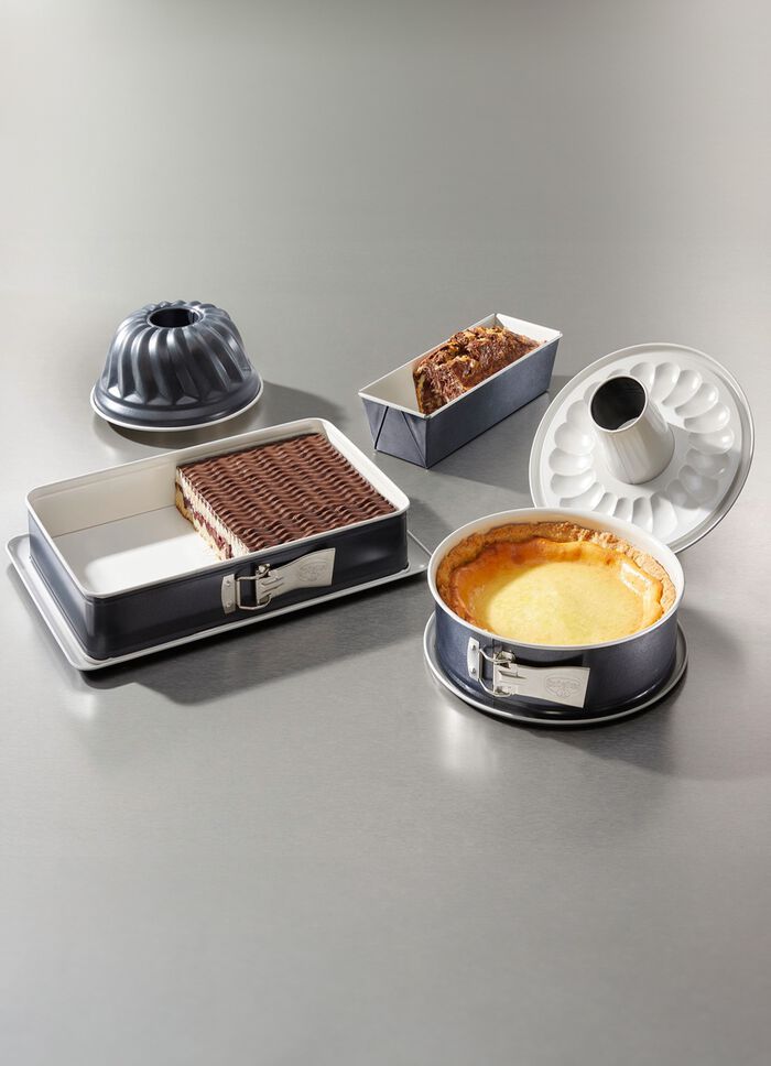 Dr. Oetker Backformen in Profiqualit&auml;t 