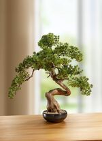 Bonsai in Keramikschale 