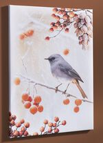 Bild Vogel des Jahres 2025 Hausrotschwanz auf Leinwand 